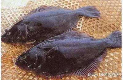 偏口鱼怎么去内脏视频,视频教学详解