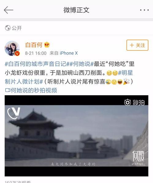 大同视频网,聚焦城市风采，畅享视听盛宴