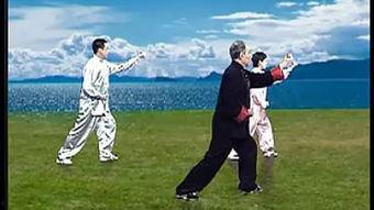 五行拳视频,视频教学中的招式解析与实战运用