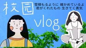 集市上宰狗视频,引发公众愤怒与反思