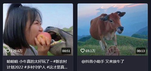 适合发抖音的伤感视频