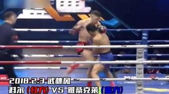 武林风吴京比赛视频