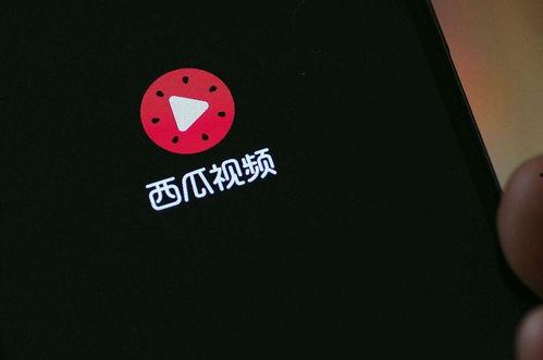 西瓜视频自媒体,揭秘短视频创作与运营之道