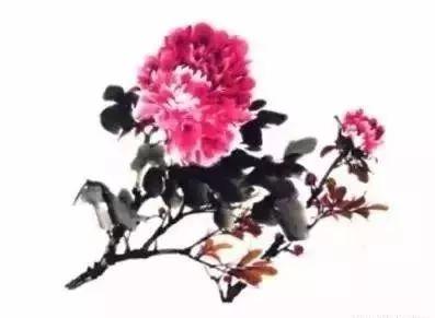 水墨画牡丹视频教程,传统技法与现代演绎的完美融合